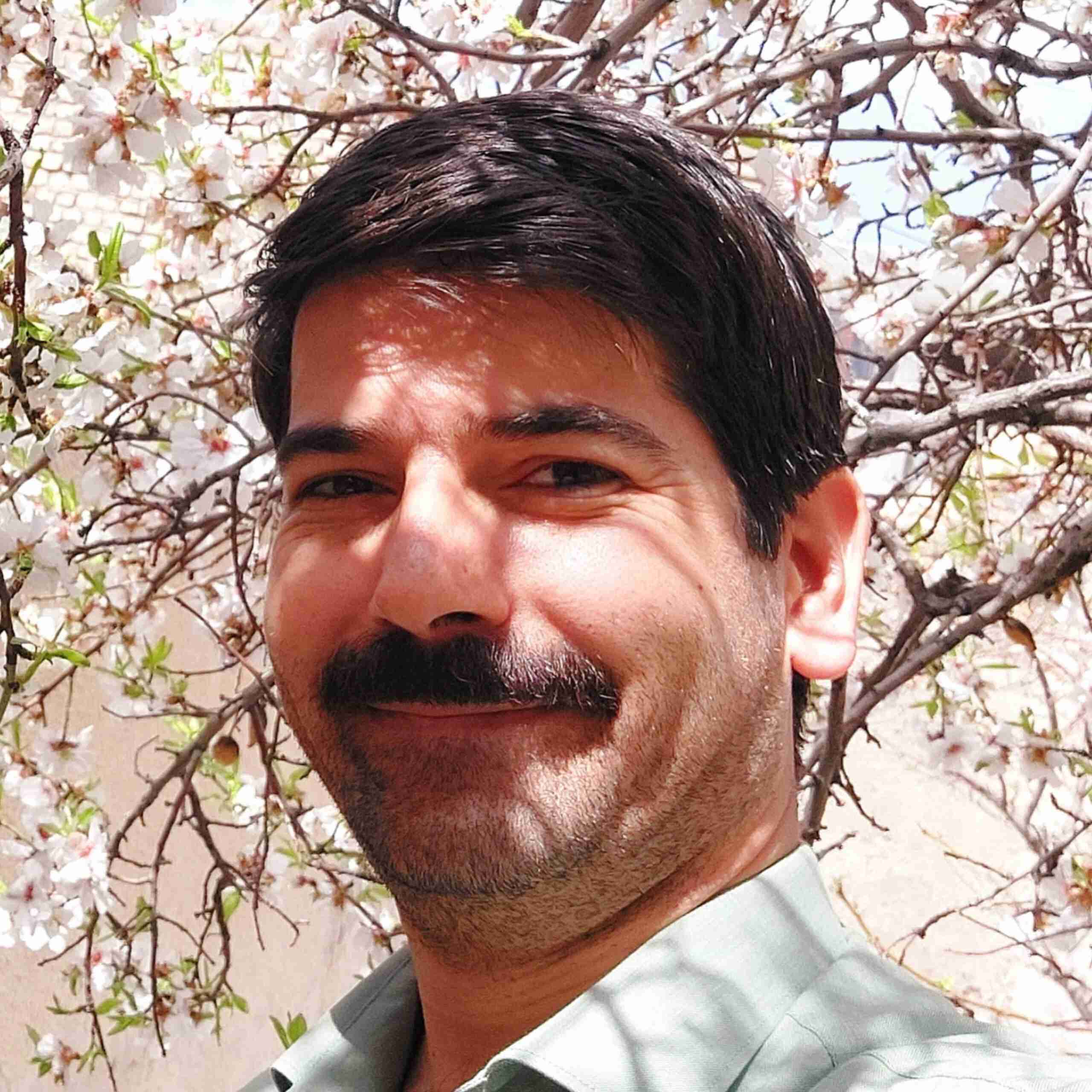 محمد عابدی