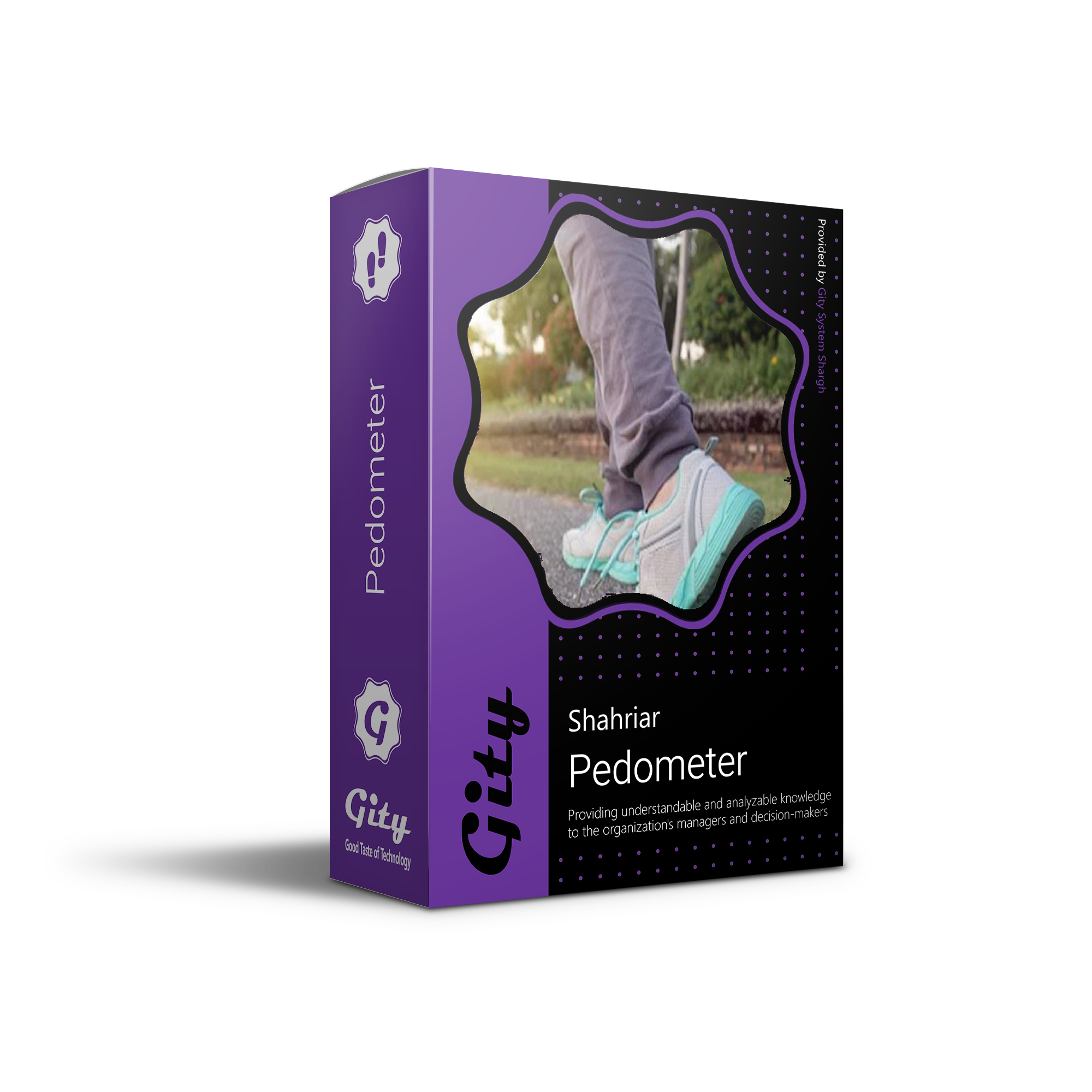 Pedometer
